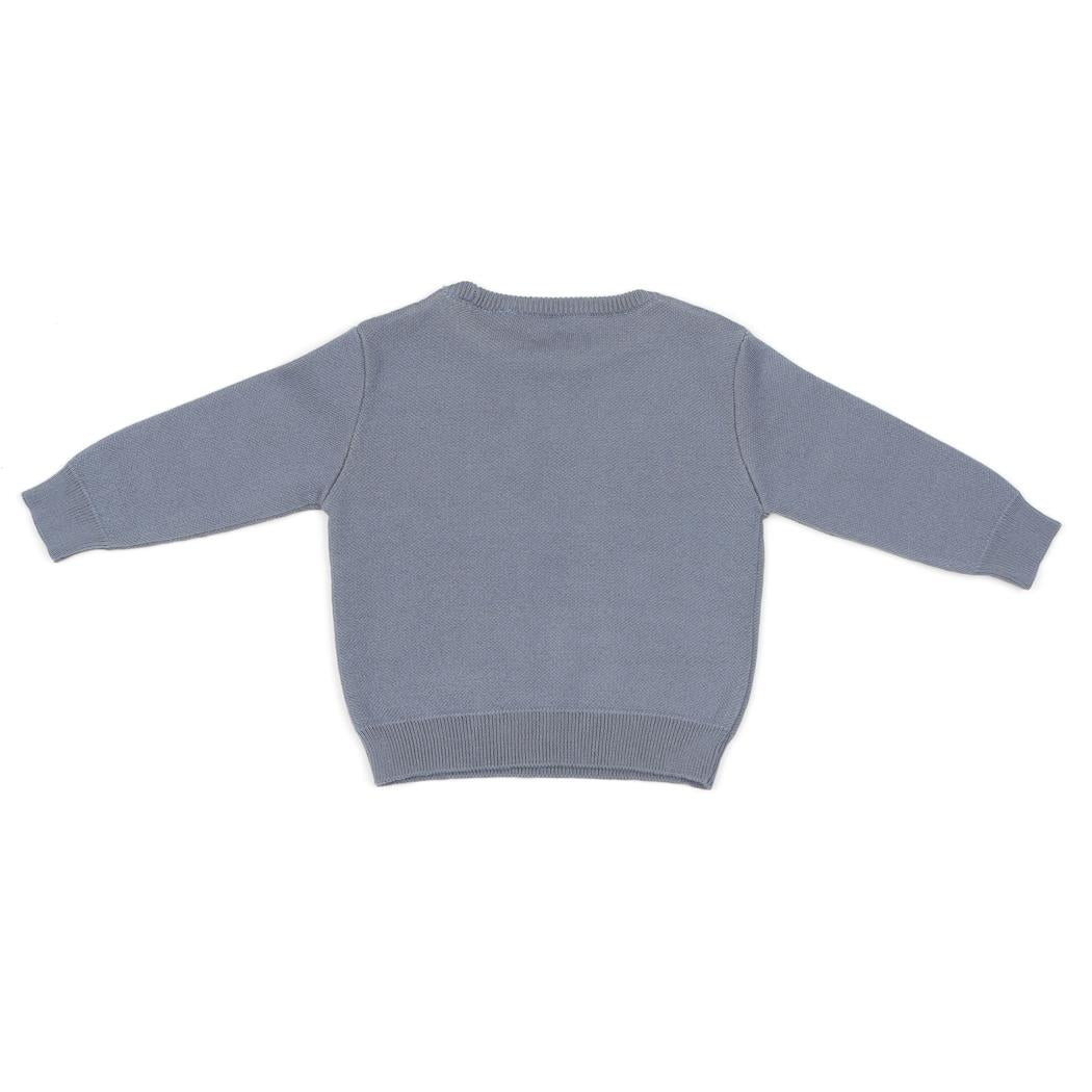 Patterned Organic Cotton Baby and Child Sweater Blue