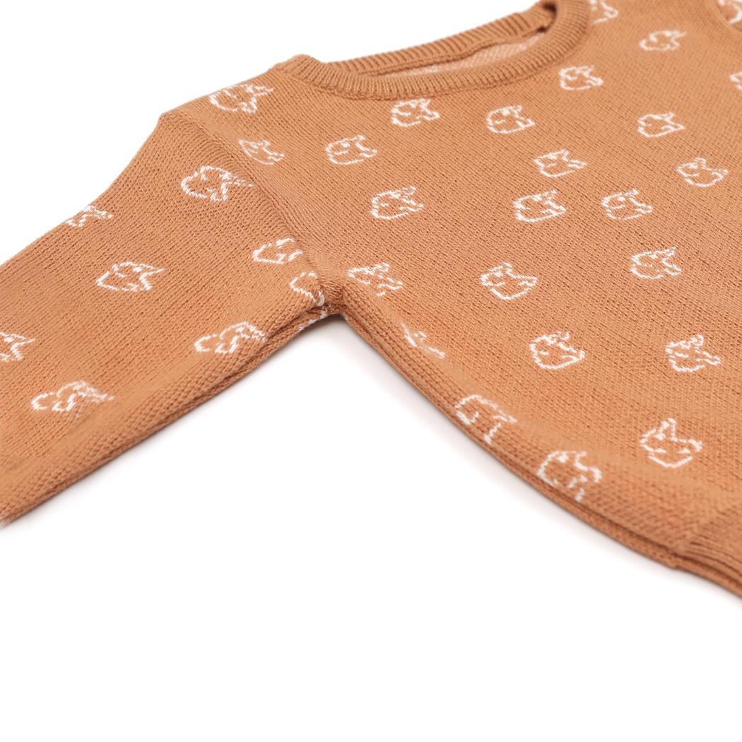 Patterned Organic Cotton Baby and Child Sweater Brown