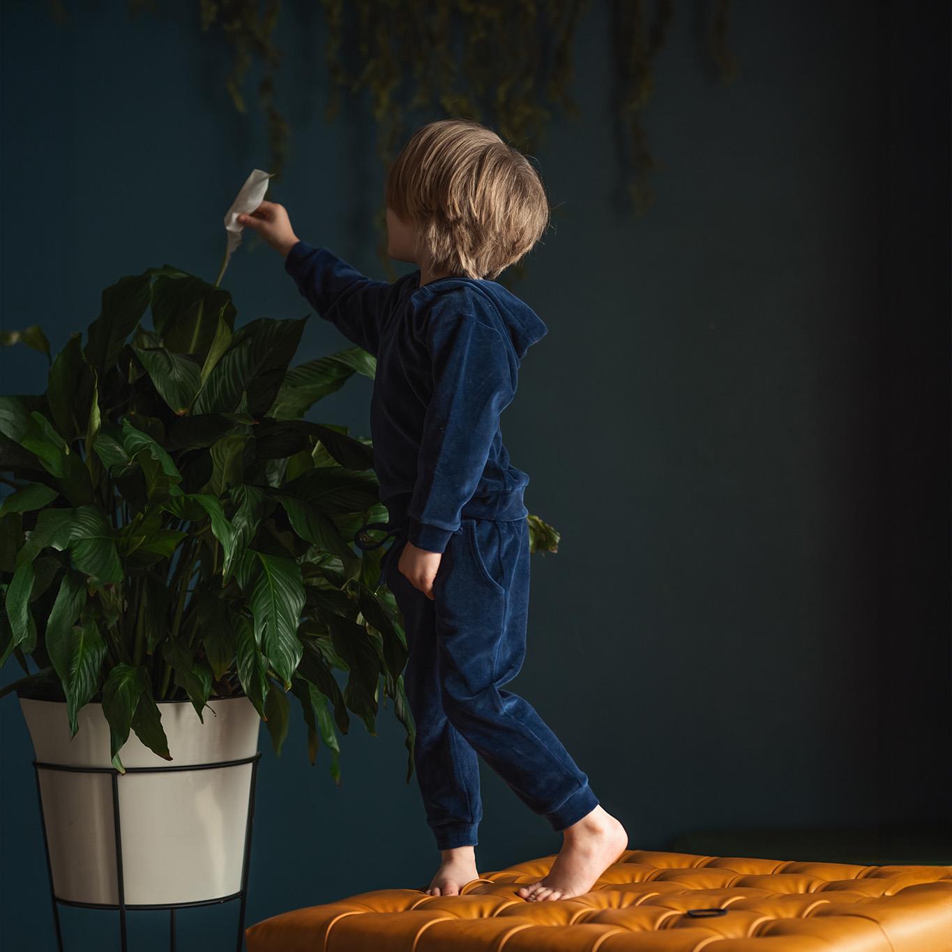 Navy Blue Velvet Hooded Tracksuit Set
