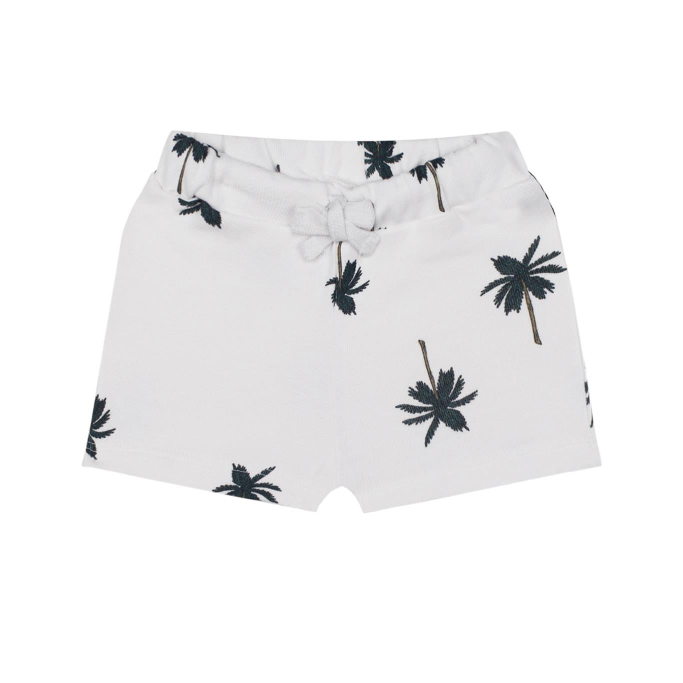 Palm Shorts